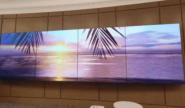 palm-trees-beach-motion-commercial-office-video-wall